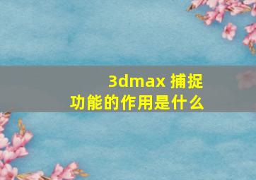 3dmax 捕捉功能的作用是什么